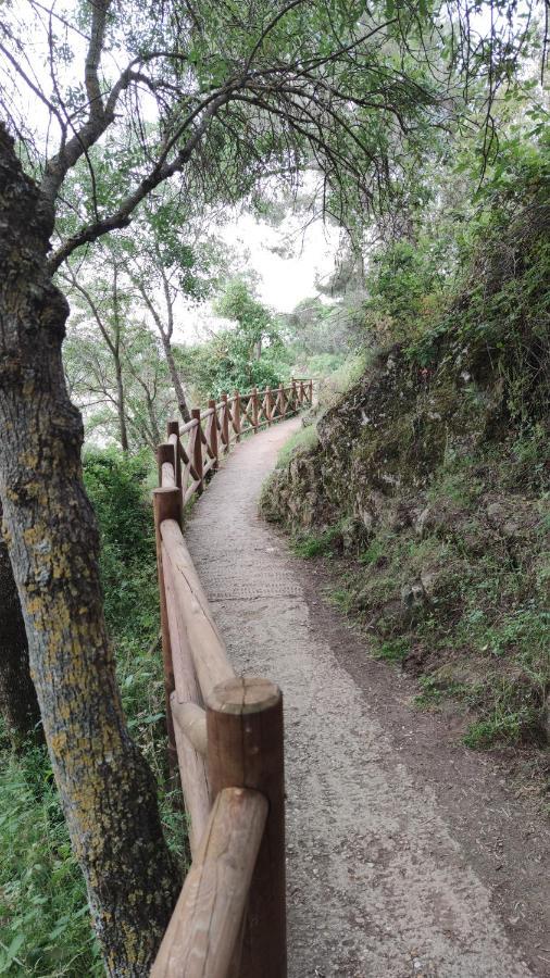 Puente Viejo De Buitrago Casa Encina Apartment Buitrago del Lozoya Luaran gambar
